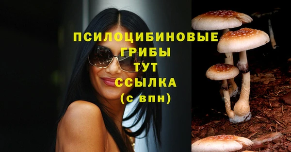 шишки Абинск