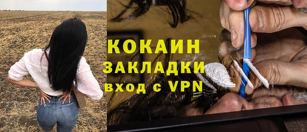 тгк Алзамай