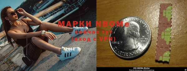ПСИЛОЦИБИНОВЫЕ ГРИБЫ Арсеньев