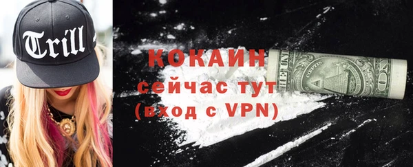 кокс Алексин