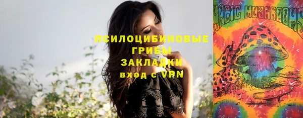 кокс Алексин