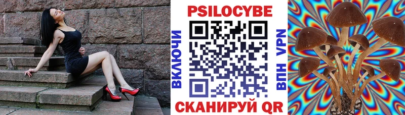 купить закладку ссылка на мегу ТОР Псилоцибиновые грибы Psilocybine cubensis Чухлома